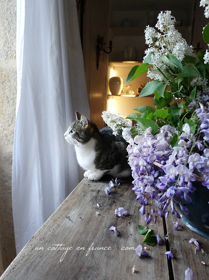 A real french cottage