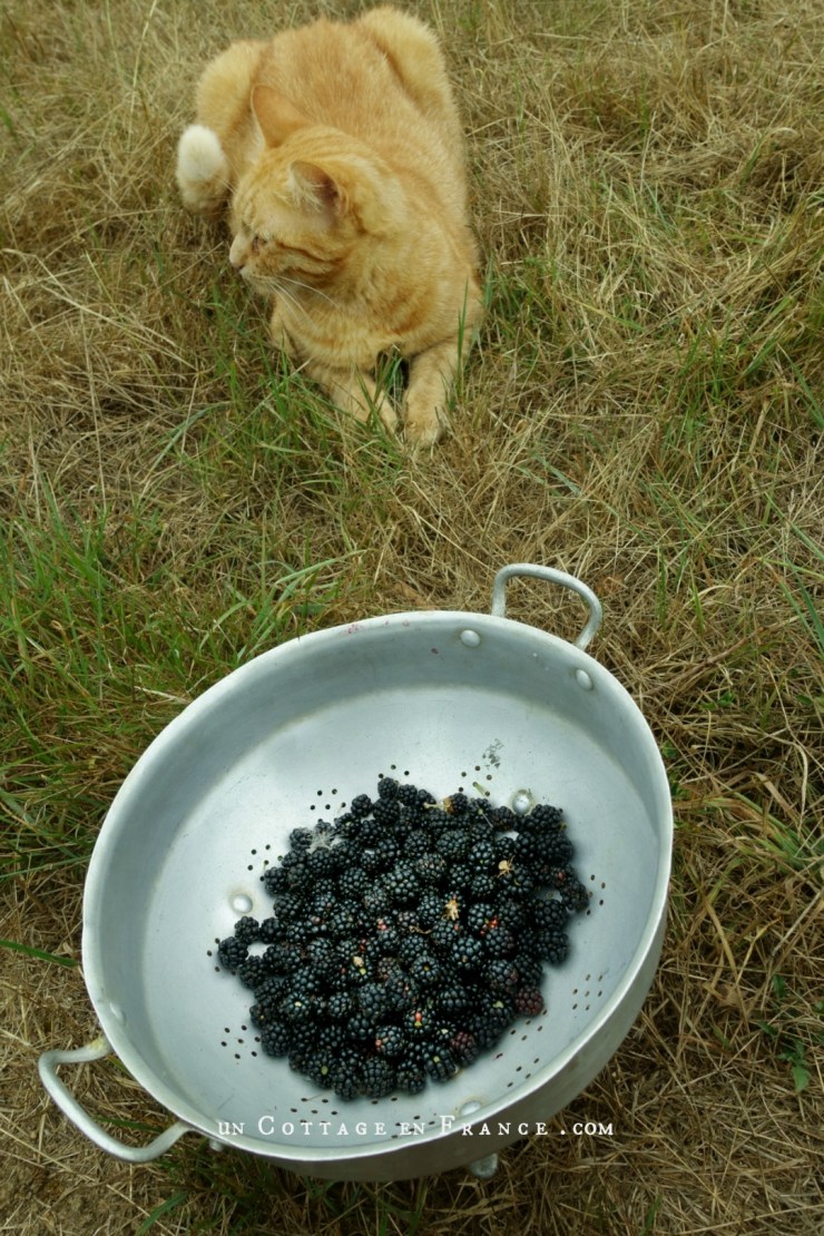 blog maison de campagne