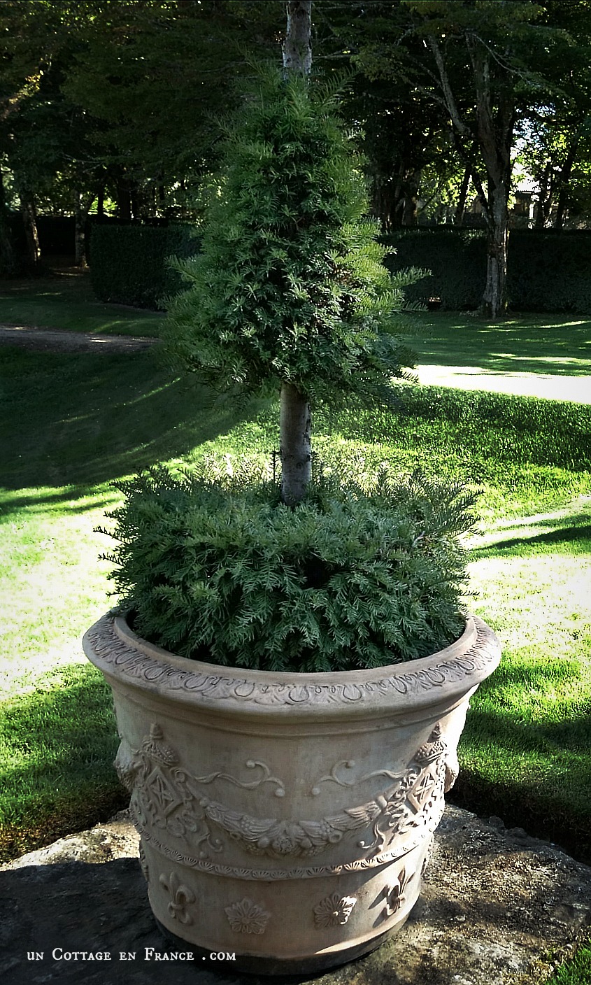 topiaires, buis, eyrignac, topiarie, hedgelovers, boxwood, booxwoodhedges