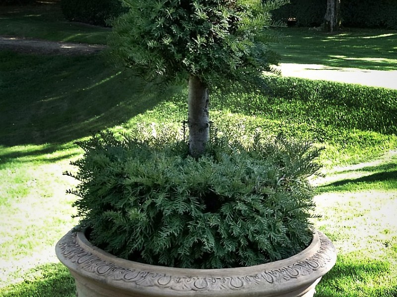 Jardins remarquables | Remarquable Gardens – les buis du Domaine d&rsquo;Eyrignac (Dordogne)