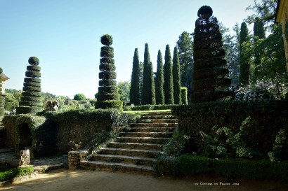 topiaires, buis, eyrignac, topiarie, hedgelovers, boxwood, booxwoodhedges