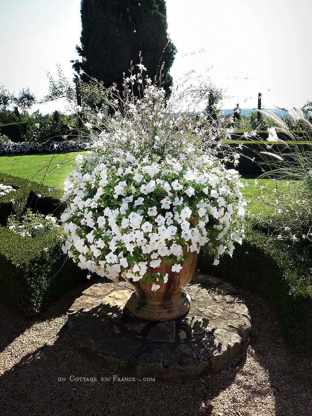 topiaires, buis, eyrignac, topiarie, hedgelovers, boxwood, booxwoodhedges