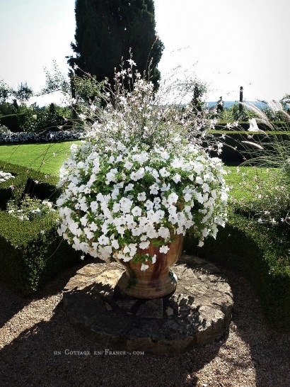 topiaires, buis, eyrignac, topiarie, hedgelovers, boxwood, booxwoodhedges