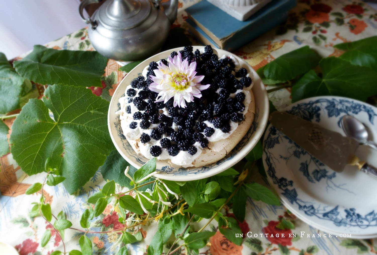 French cuntry design