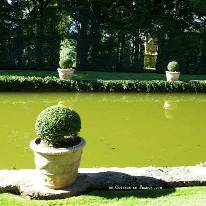 topiaires, buis, eyrignac, topiarie, hedgelovers, boxwood, booxwoodhedges