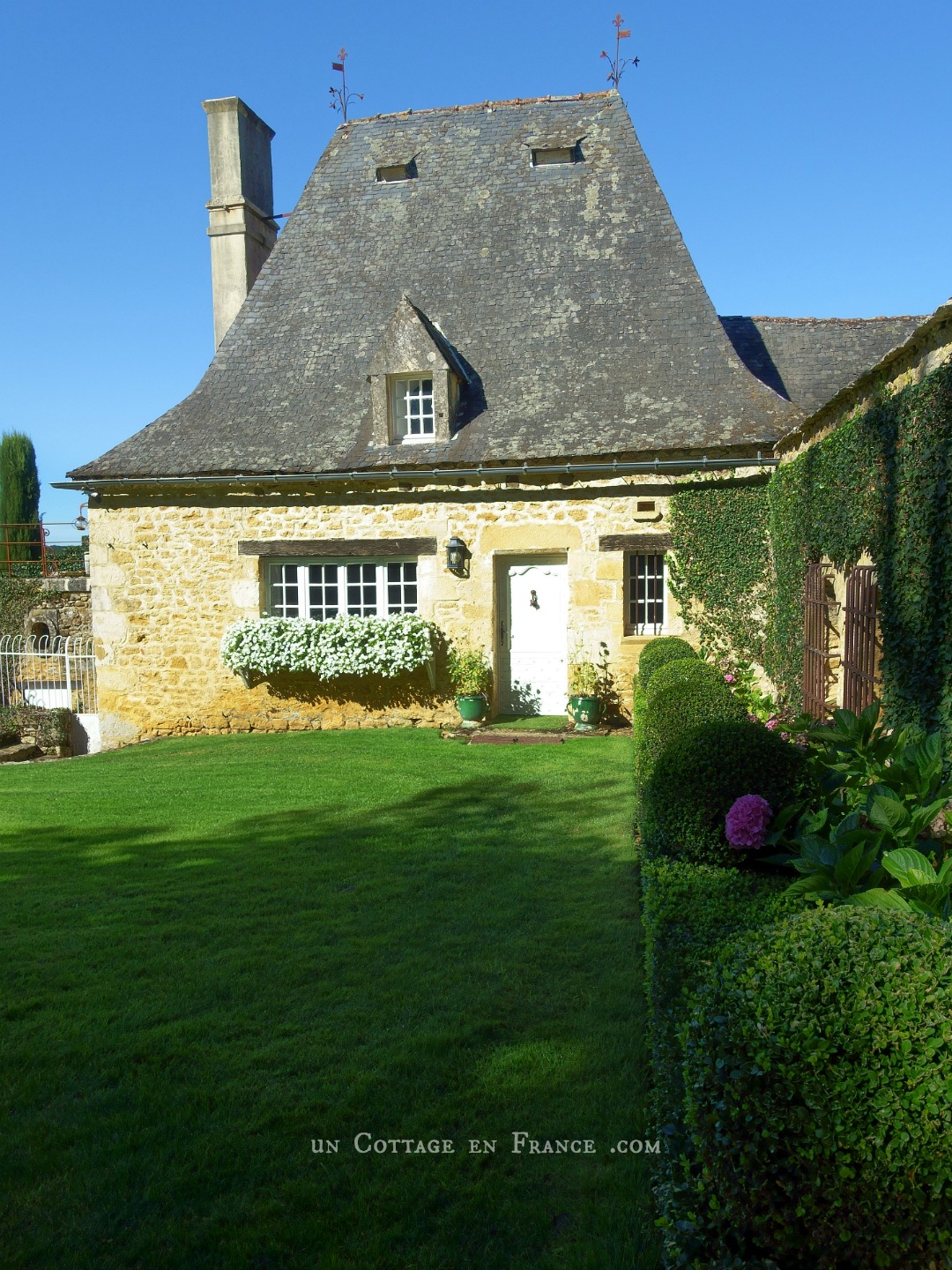 topiaires, buis, eyrignac, topiarie, hedgelovers, boxwood, booxwoodhedges