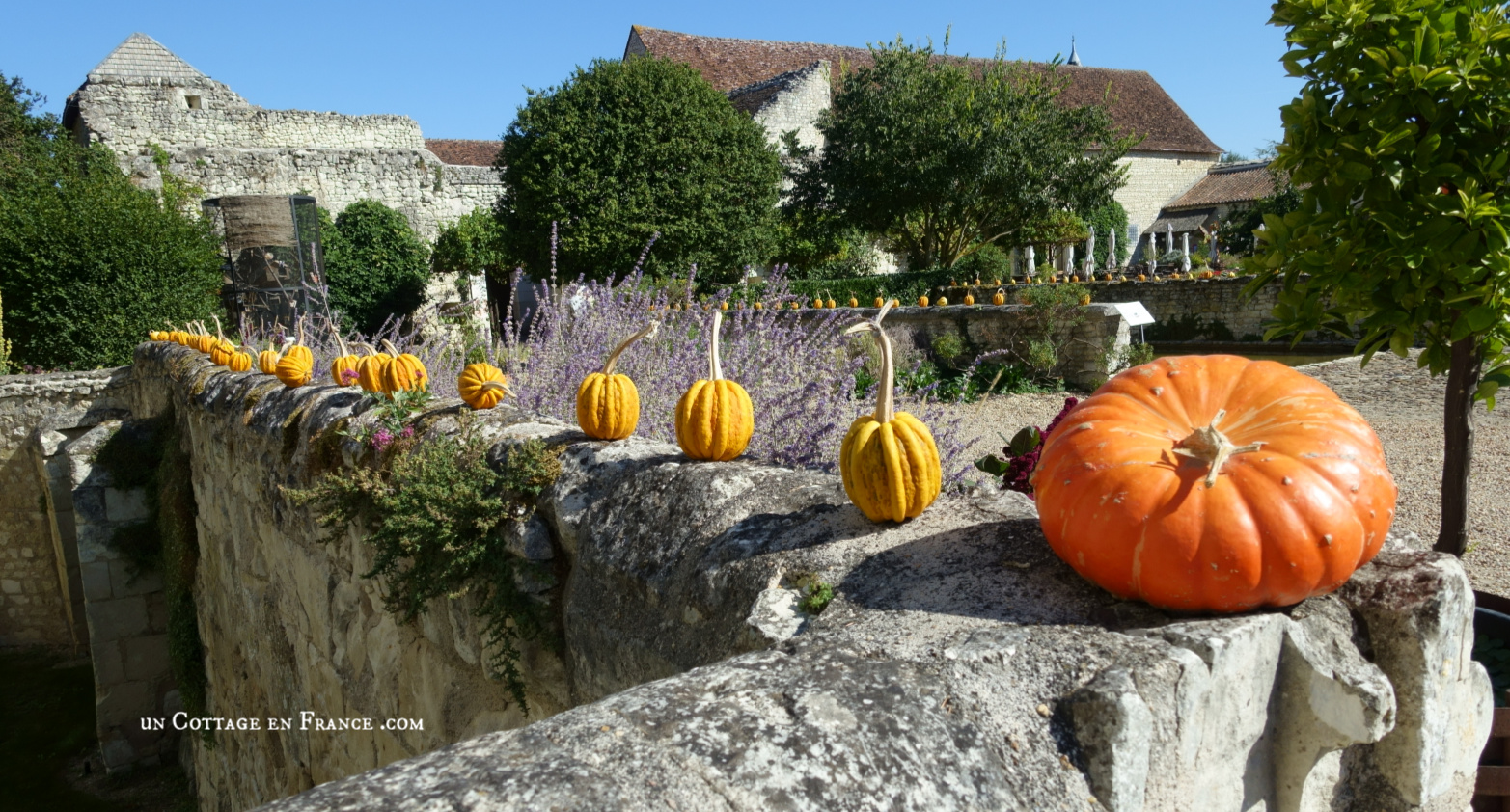 #whitecottagecharm #uncottageenfrance #campagnechic #frenchinterior #frenchfarmhousestyle #frenchcountry #frenchliving #fixerupperstyle #frenchcountrycottage #allthingsfrench #frenchcottage #farmhousevignette #cottagevignette #chippypaint #frenchdecoration #fermette #countrychic #rustique #rusticdecor #decorustic #cottagedecor #maisondecampagne #campagnedecoration #countryhomemag #brocante