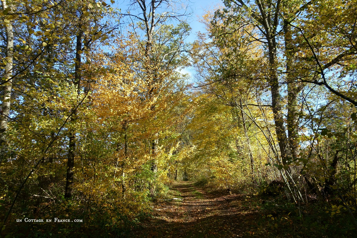 #whitecottagecharm #uncottageenfrance #campagnechic #frenchinterior #frenchfarmhousestyle #frenchcountry #frenchliving #fixerupperstyle #frenchcountrycottage #allthingsfrench #frenchcottage #farmhousevignette #cottagevignette #chippypaint #frenchdecoration #fermette #countrychic #rustique #rusticdecor #decorustic #cottagedecor #maisondecampagne #campagnedecoration #countryhomemag #brocante