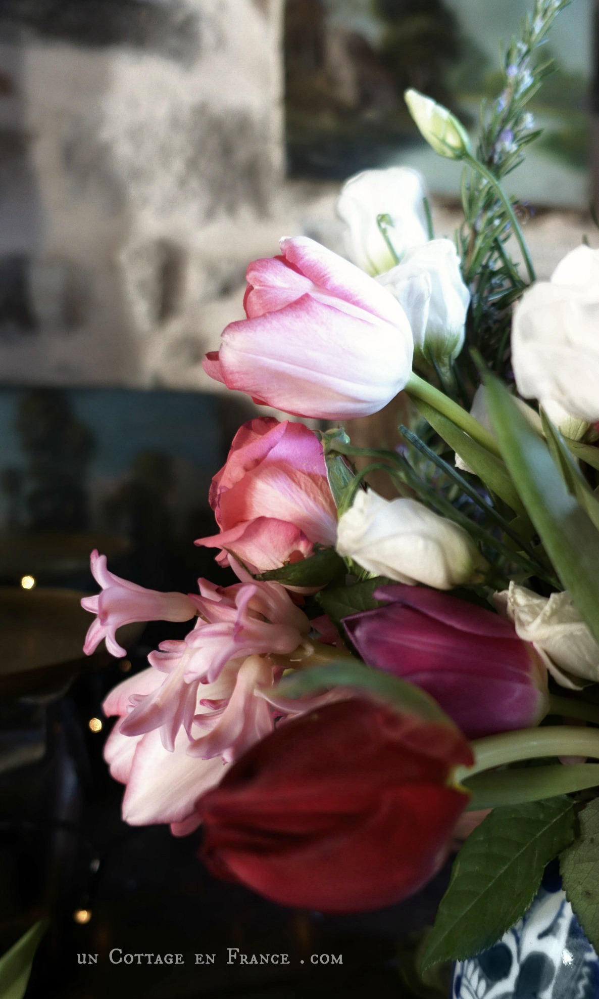 limousine en Limousin