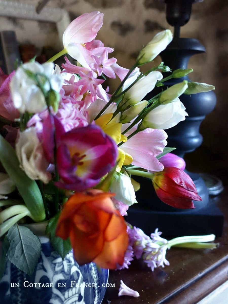Couleurs vives d&rsquo;un bouquet de janvier | Bold Tints of a January&nbsp;Bouquet