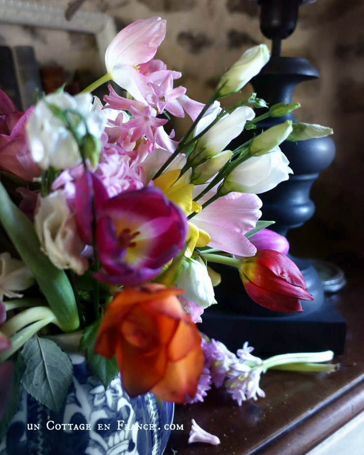 Couleurs vives d&rsquo;un bouquet de janvier | Bold Tints of a January&nbsp;Bouquet