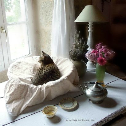 #brocante #whitecottagecharm #uncottageenfrance #campagnechic #frenchinterior #frenchfarmhousestyle#frenchcottage #shabbyhome #farmhousevignette #chippypaint #frenchdecoration #fermette #countrychic #rustique #rusticdecor #decorustic #cottagedecor #maisondecampagne #campagnedecoration #countryhomemag