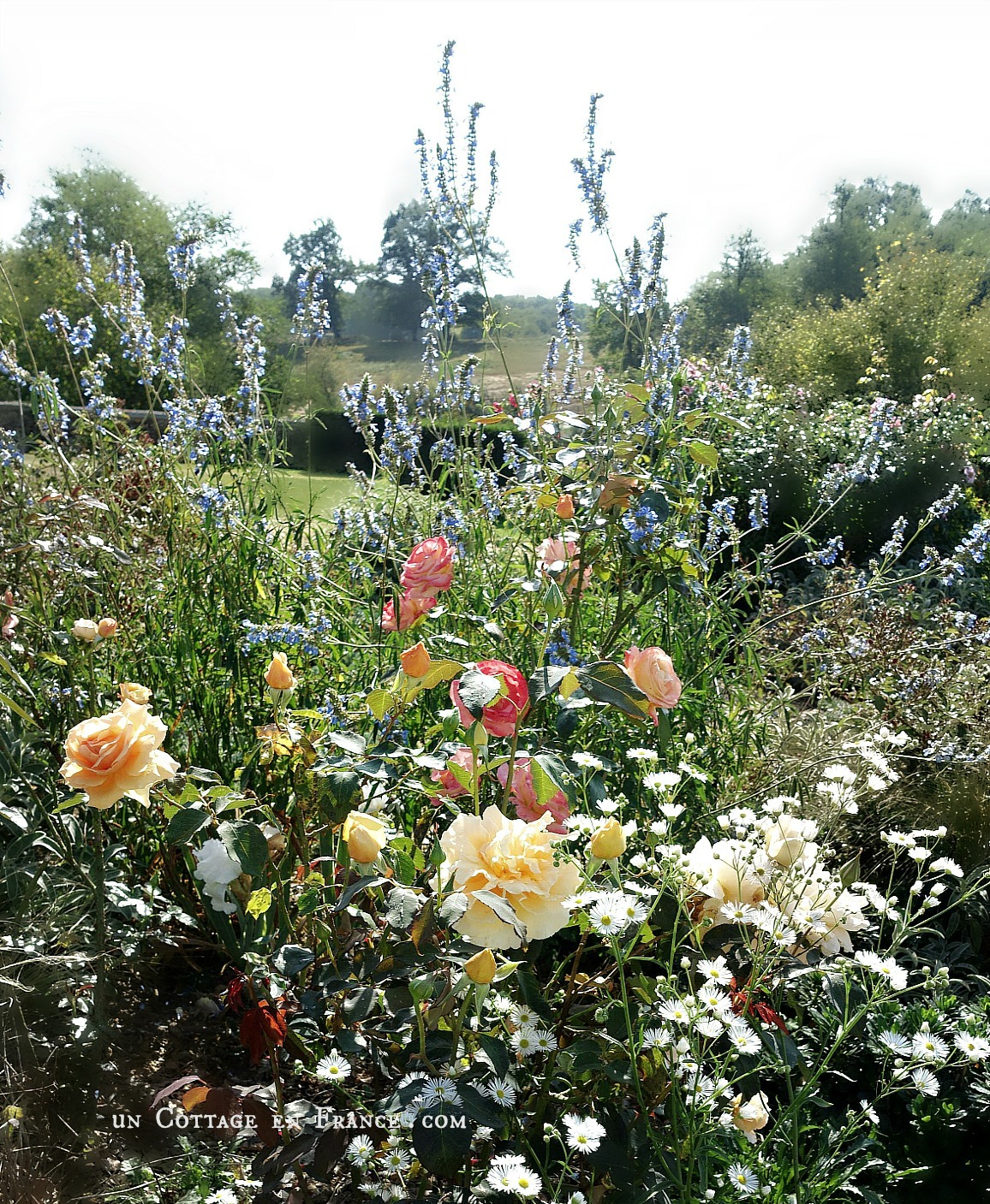 jardin romantique du domaine des Etangs country chic campagne chic