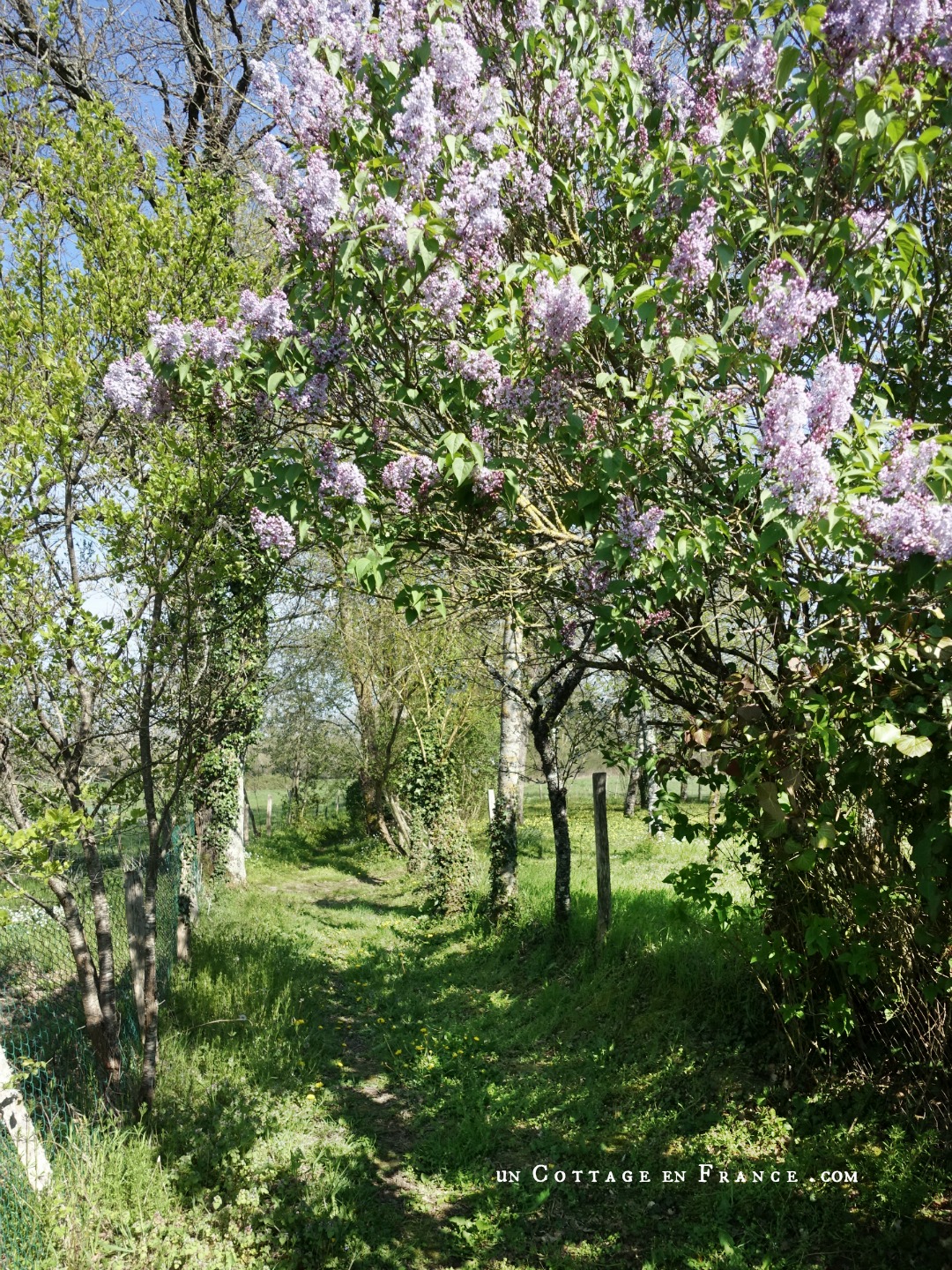 #whitecottagecharm #uncottageenfrance #campagnechic #frenchinterior #frenchfarmhousestyle #frenchcountry #frenchliving #fixerupperstyle #frenchcountrycottage #allthingsfrench #frenchcottage #farmhousevignette #cottagevignette #chippypaint #frenchdecoration #fermette #countrychic #rustique #rusticdecor #decorustic #cottagedecor #maisondecampagne #campagnedecoration #countryhomemag #brocante