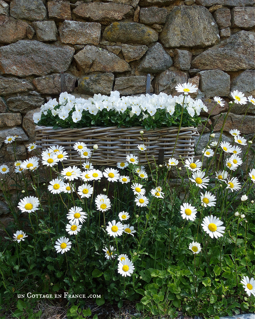 #whitecottagecharm #uncottageenfrance #campagnechic #frenchinterior #frenchfarmhousestyle #frenchcountry #frenchliving #fixerupperstyle #frenchcountrycottage #allthingsfrench #frenchcottage #farmhousevignette #cottagevignette #chippypaint #frenchdecoration #fermette #countrychic #rustique #rusticdecor #decorustic #cottagedecor #maisondecampagne #campagnedecoration #countryhomemag #brocante