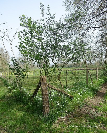 #whitecottagecharm #uncottageenfrance #campagnechic #frenchinterior #frenchfarmhousestyle #frenchcountry #frenchliving #fixerupperstyle #frenchcountrycottage #allthingsfrench #frenchcottage #farmhousevignette #cottagevignette #chippypaint #frenchdecoration #fermette #countrychic #rustique #rusticdecor #decorustic #cottagedecor #maisondecampagne #campagnedecoration #countryhomemag #brocante