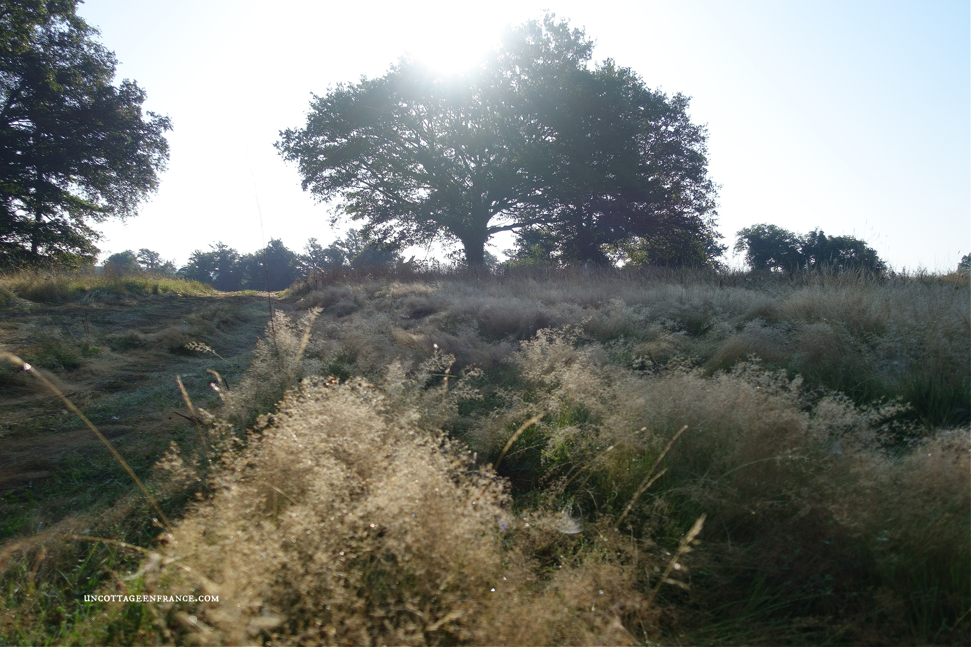 Blog campagne décoration Limousin