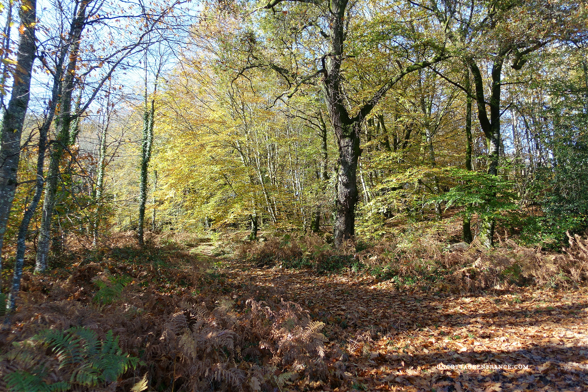 #whitecottagecharm #uncottageenfrance #campagnechic #frenchinterior #frenchfarmhousestyle #frenchcountry #frenchliving #fixerupperstyle #frenchcountrycottage #allthingsfrench #frenchcottage #farmhousevignette #cottagevignette #chippypaint #frenchdecoration #fermette #countrychic #rustique #rusticdecor #decorustic #cottagedecor #maisondecampagne #campagnedecoration #countryhomemag #brocante #monochromehome #greycottage #frenchgrey #gristendre #grischic #storebouillonné
