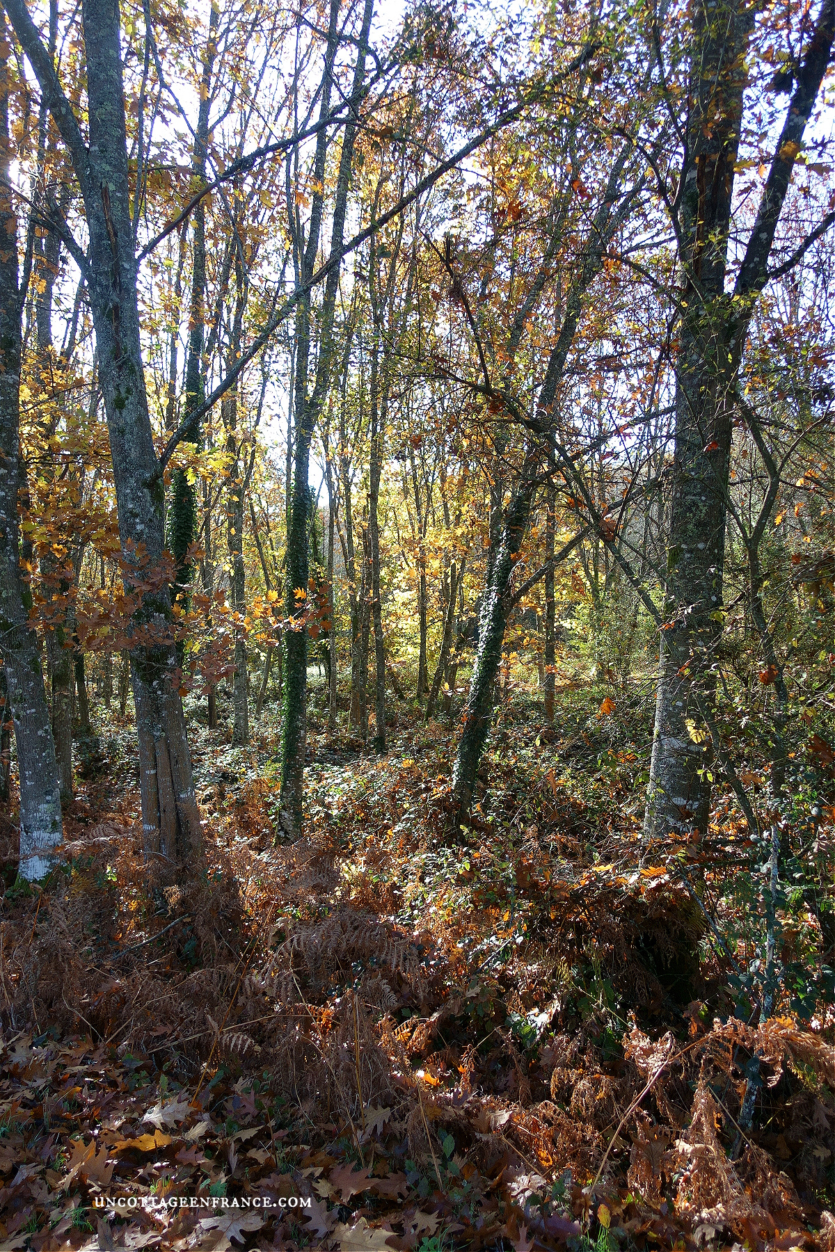 #whitecottagecharm #uncottageenfrance #campagnechic #frenchinterior #frenchfarmhousestyle #frenchcountry #frenchliving #fixerupperstyle #frenchcountrycottage #allthingsfrench #frenchcottage #farmhousevignette #cottagevignette #chippypaint #frenchdecoration #fermette #countrychic #rustique #rusticdecor #decorustic #cottagedecor #maisondecampagne #campagnedecoration #countryhomemag #brocante #monochromehome #greycottage #frenchgrey #gristendre #grischic #storebouillonné