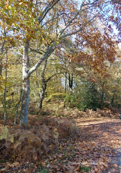 #whitecottagecharm #uncottageenfrance #campagnechic #frenchinterior #frenchfarmhousestyle #frenchcountry #frenchliving #fixerupperstyle #frenchcountrycottage #allthingsfrench #frenchcottage #farmhousevignette #cottagevignette #chippypaint #frenchdecoration #fermette #countrychic #rustique #rusticdecor #decorustic #cottagedecor #maisondecampagne #campagnedecoration #countryhomemag #brocante #monochromehome #greycottage #frenchgrey #gristendre #grischic #storebouillonné