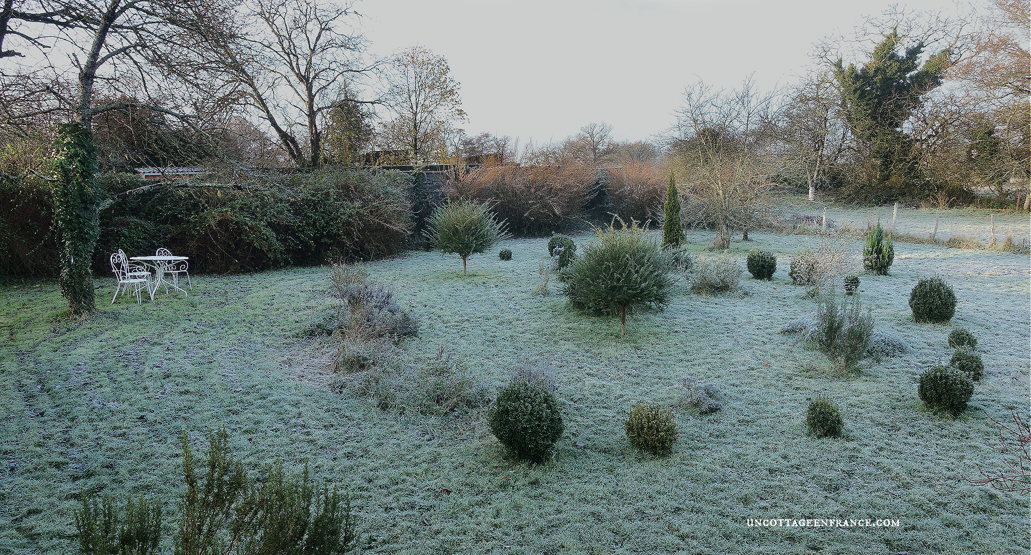 #topiaires #topiaries #hedgelover #frost #frostgarden #december #frenchcountrydesign #campagnechic #boxtree #buis #boxwood #boxwoods noel blanc, noel argent, noel campagne chic, un cottage en france, apéritif de noel, décoration romantique, décoration blanche, décoration grenier, esprit brocante, inspiration xviiième