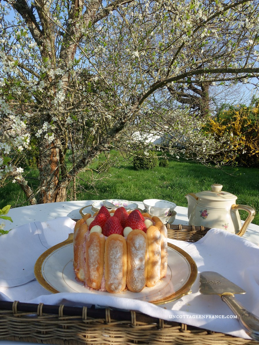 Charlottes aux fruits rouges | Charlottes with Red&nbsp;Fruit