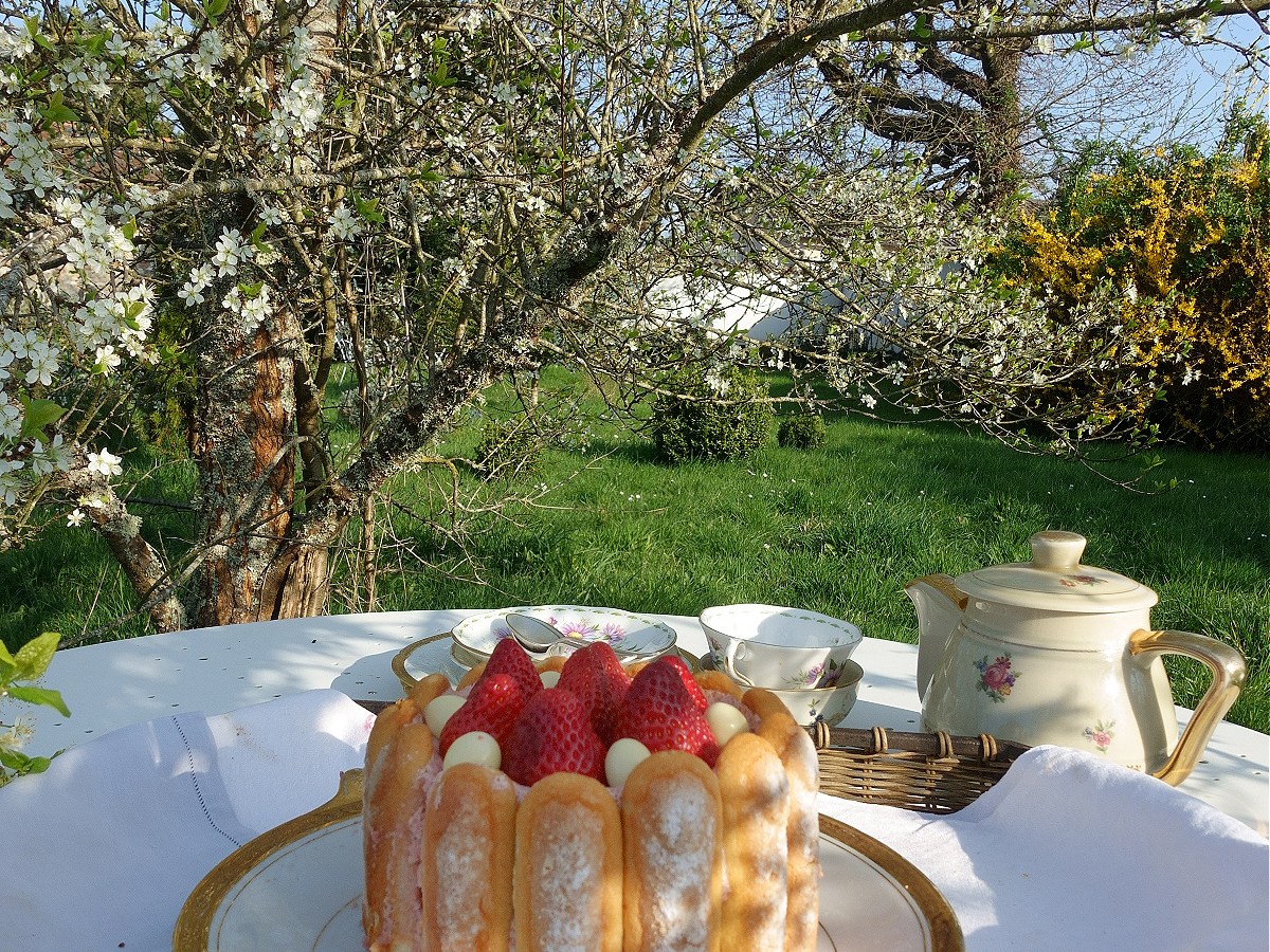 Charlottes aux fruits rouges | Charlottes with Red&nbsp;Fruit