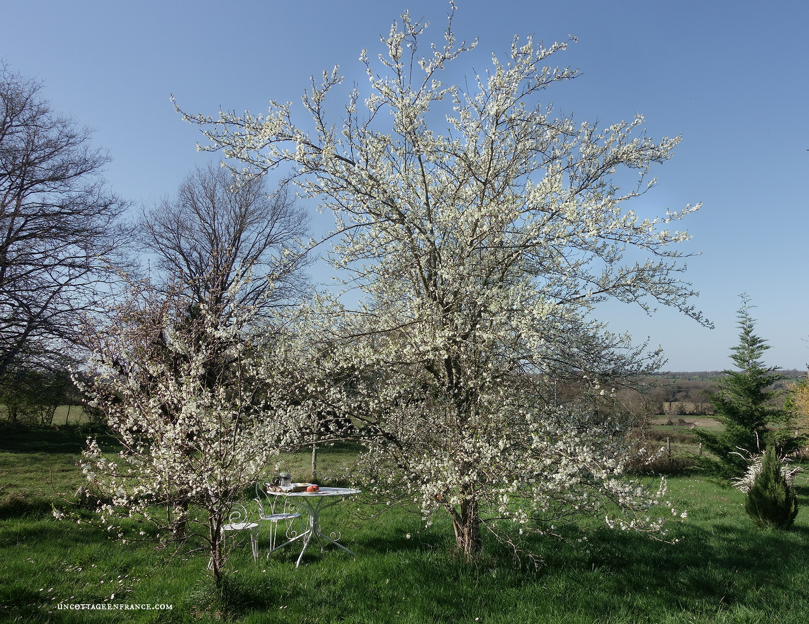 #whitecottagecharm #uncottageenfrance #campagnechic #frenchinterior #frenchfarmhousestyle #frenchcountry #frenchliving #fixerupperstyle #frenchcountrycottage #allthingsfrench #frenchcottage #farmhousevignette #cottagevignette #chippypaint #frenchdecoration #fermette #countrychic #rustique #rusticdecor #decorustic #cottagedecor #maisondecampagne #campagnedecoration #countryhomemag #brocante