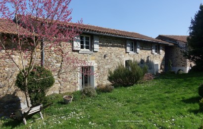 #whitecottagecharm #uncottageenfrance #campagnechic #frenchinterior #frenchfarmhousestyle #frenchcountry #frenchliving #fixerupperstyle #frenchcountrycottage #allthingsfrench #frenchcottage #farmhousevignette #cottagevignette #chippypaint #frenchdecoration #fermette #countrychic #rustique #rusticdecor #decorustic #cottagedecor #maisondecampagne #campagnedecoration #countryhomemag #brocante
