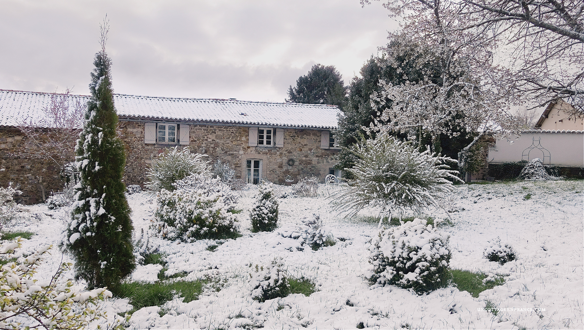 Neige du d'avril Haut Limousin