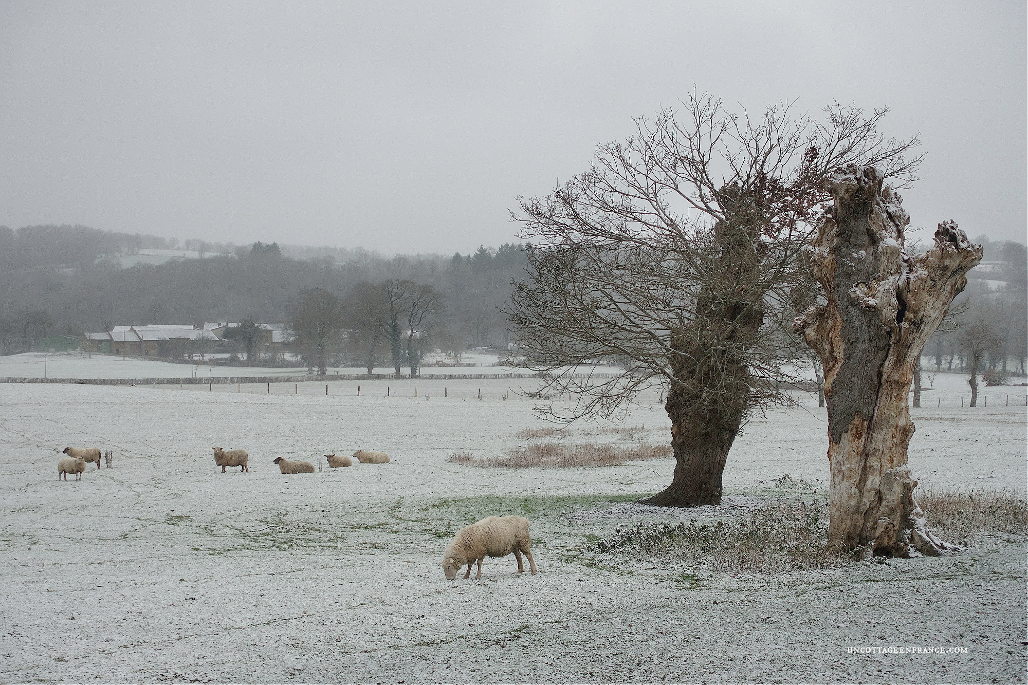 Hiver en haute Limousin sous la neige